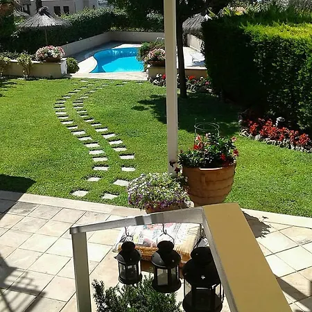 Alex Luxury